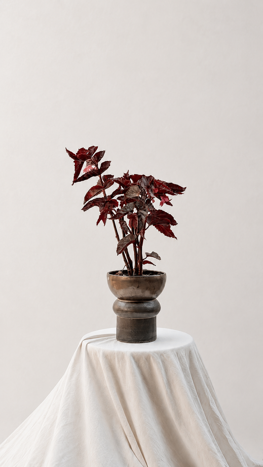 Shiny medium planter with red plant