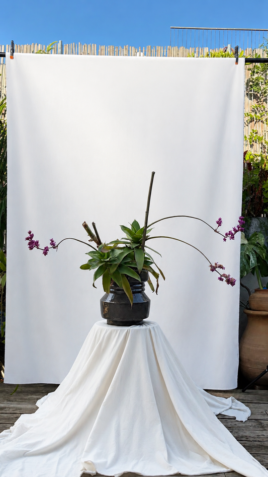 Space shaped planter with blooming plant