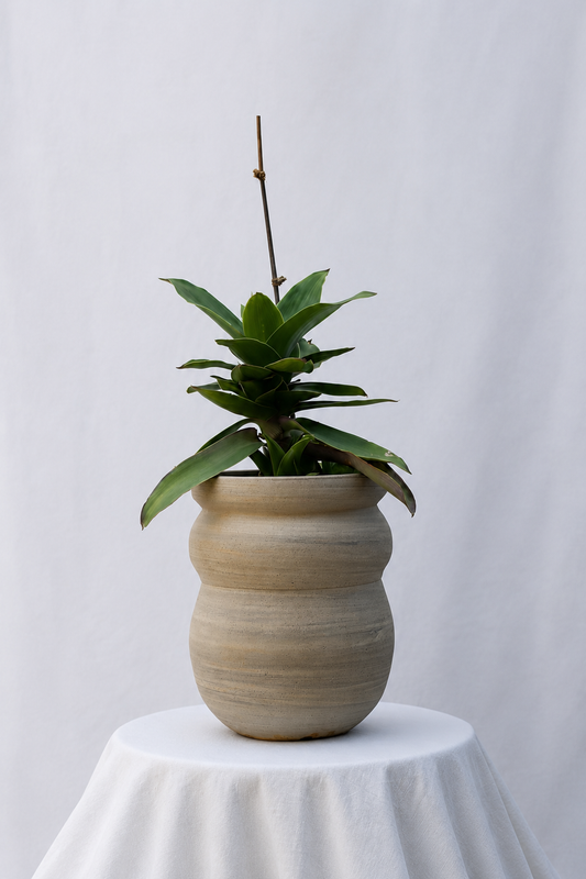 Recycled raw clay planter with plant