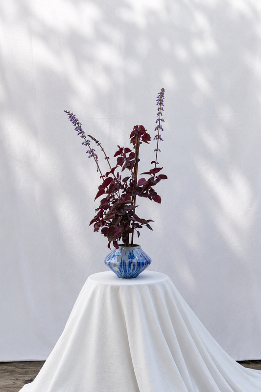 Blue dotted planter with plant