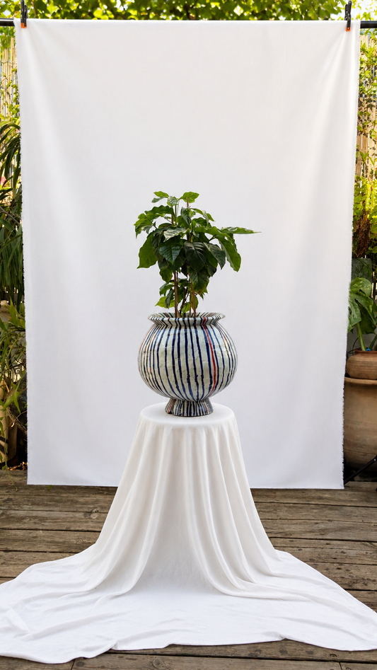 Stripes red and blue round planter hand built with coffee plant