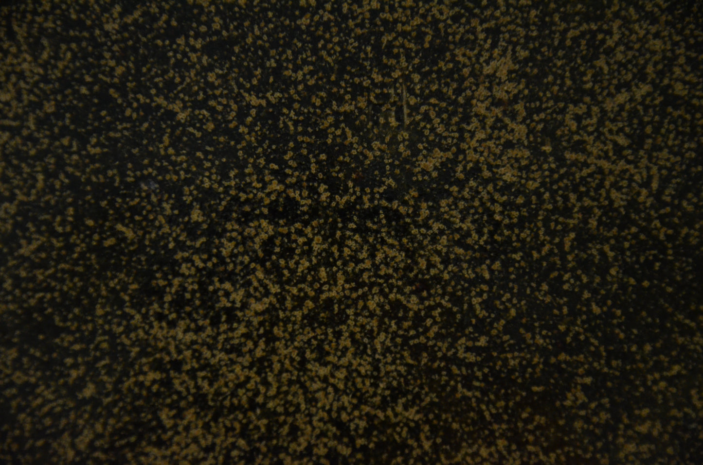 Speckled gold big plate