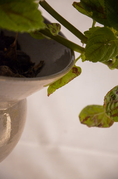 Space planter