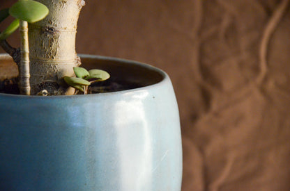 Blue pinkish planter