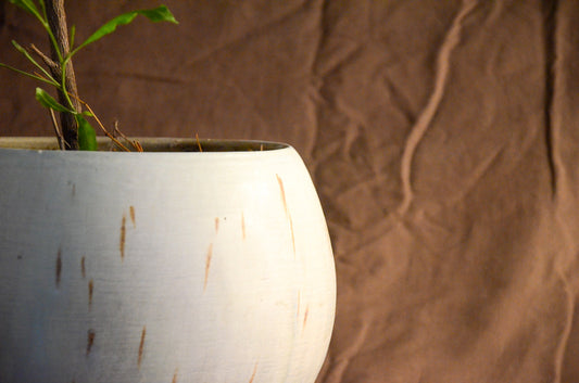 White speckled planter