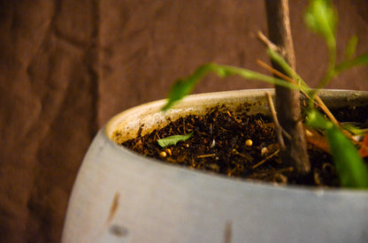 White speckled planter